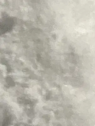 variety의 体調不良