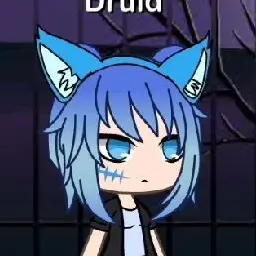 Profile image of 드루이드