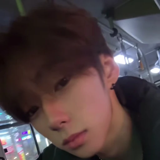 권무진