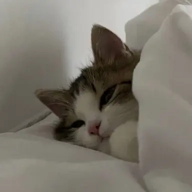 Profile image of 김규빈