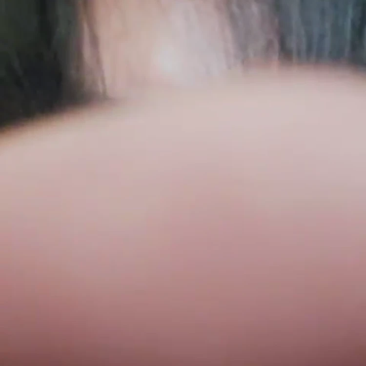 박원빈