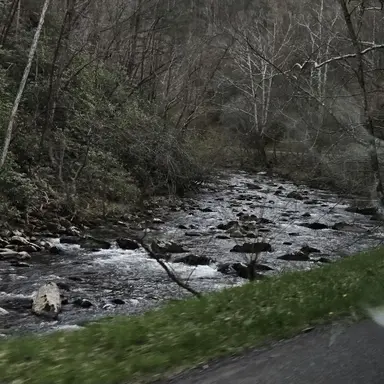 Profile image of Marcus Vance