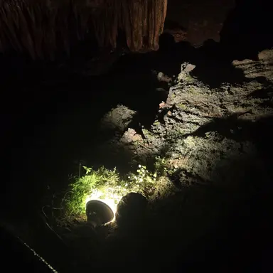 Profile image of Elias Navarro