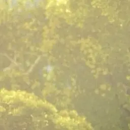 Profile image of 좋은 나이 13살