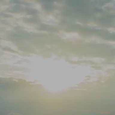 Profile image of 스프런키