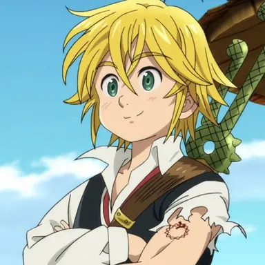 Profile image of Meliodas