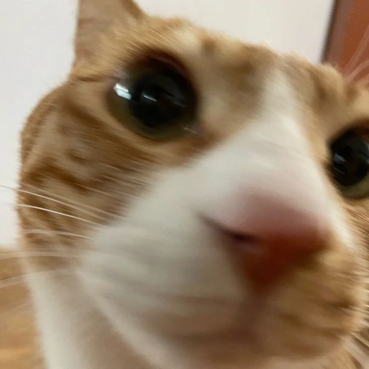 이민호­