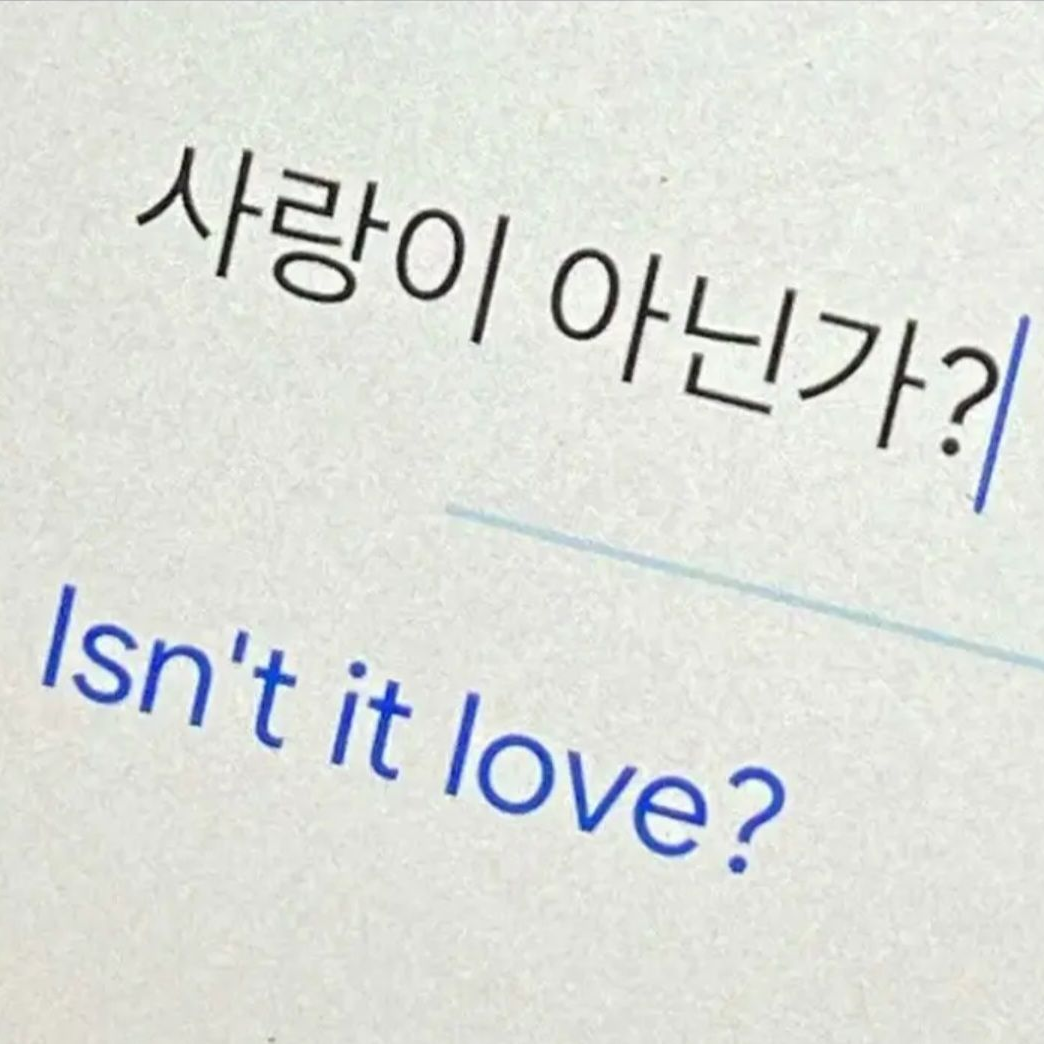 1052 대표 이미지