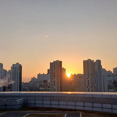 Profile image of 덕경장