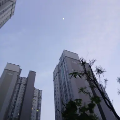 Profile image of 잠경위
