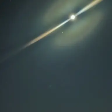 Profile image of 유지민