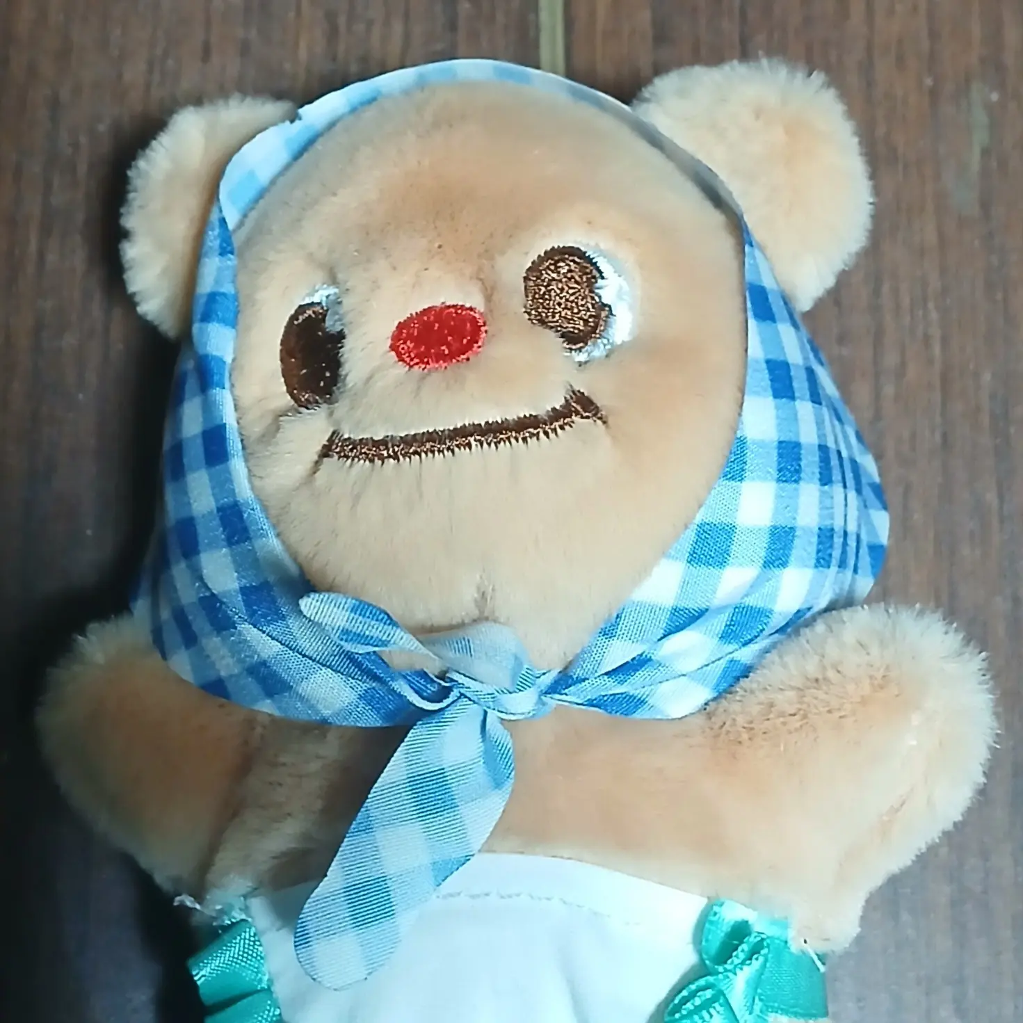 Ryukklllll의 내새친구배이비곰