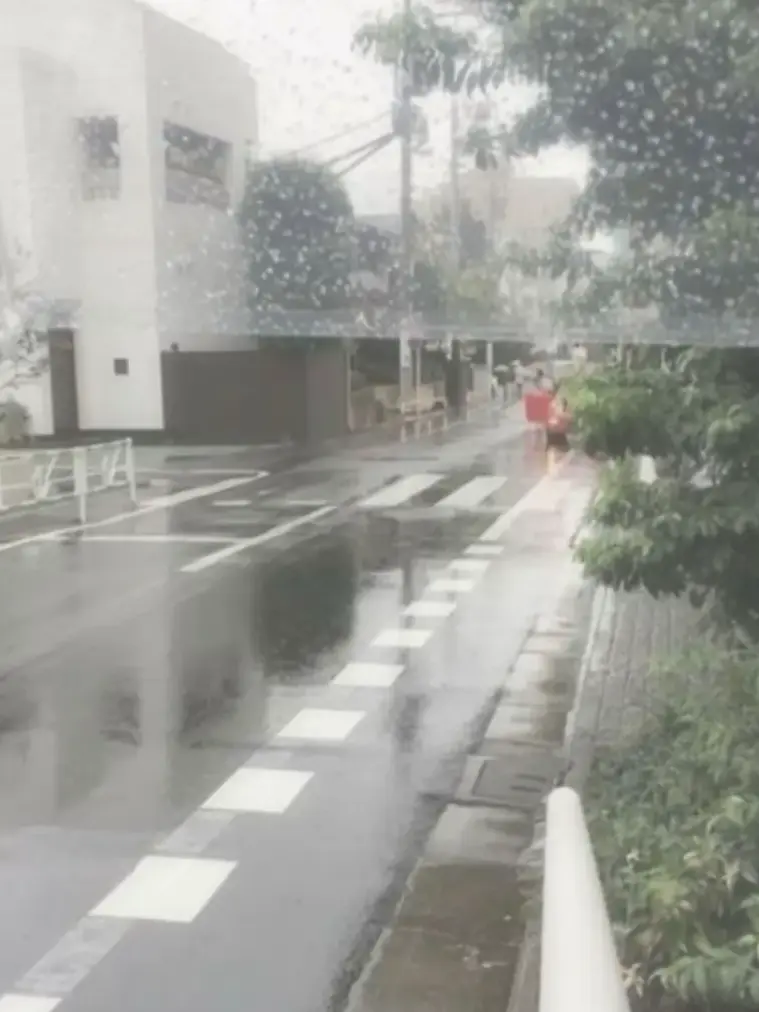 nacht._의 一目惚れ。