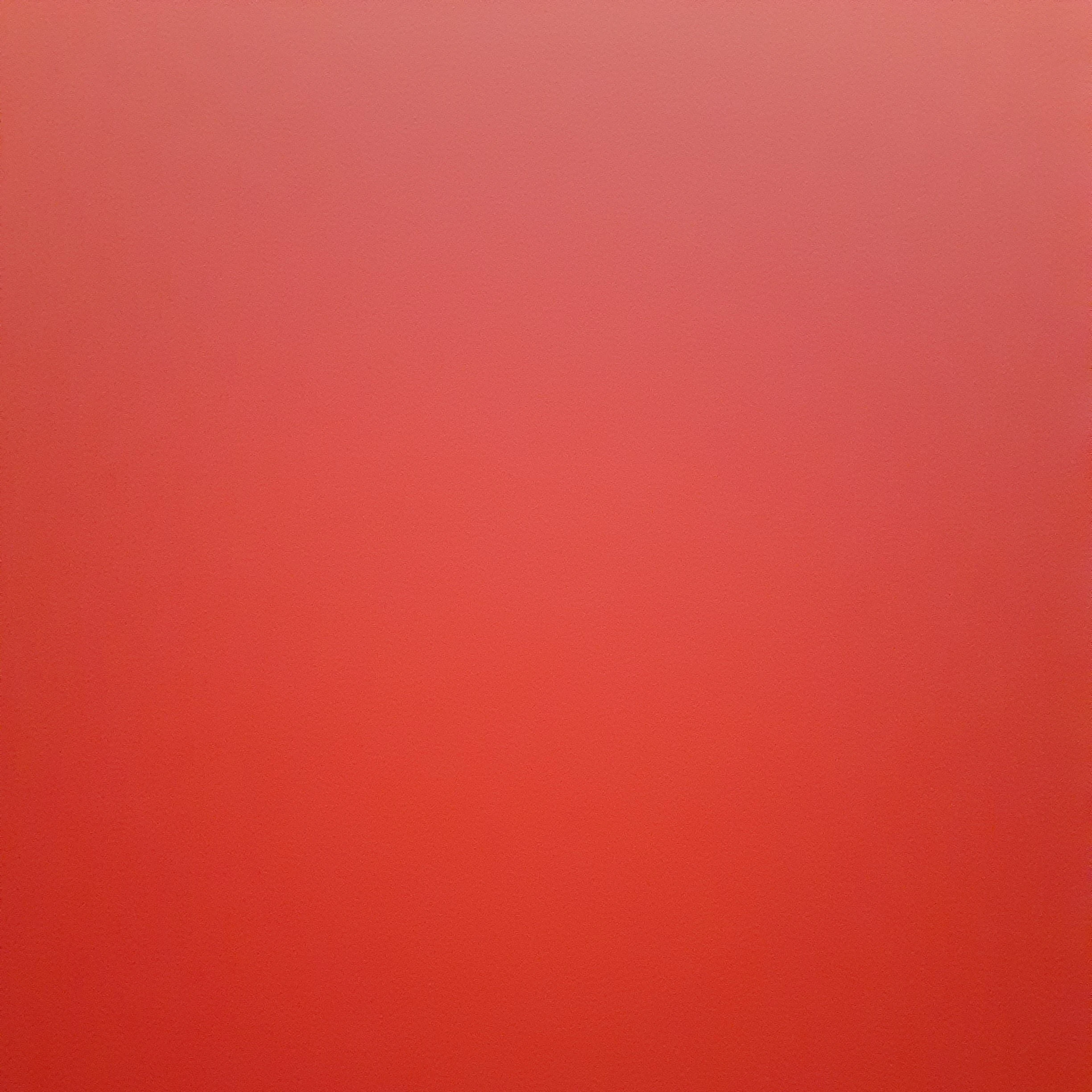 전정국