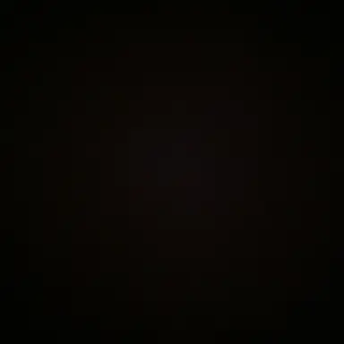 Profile image of 채스터