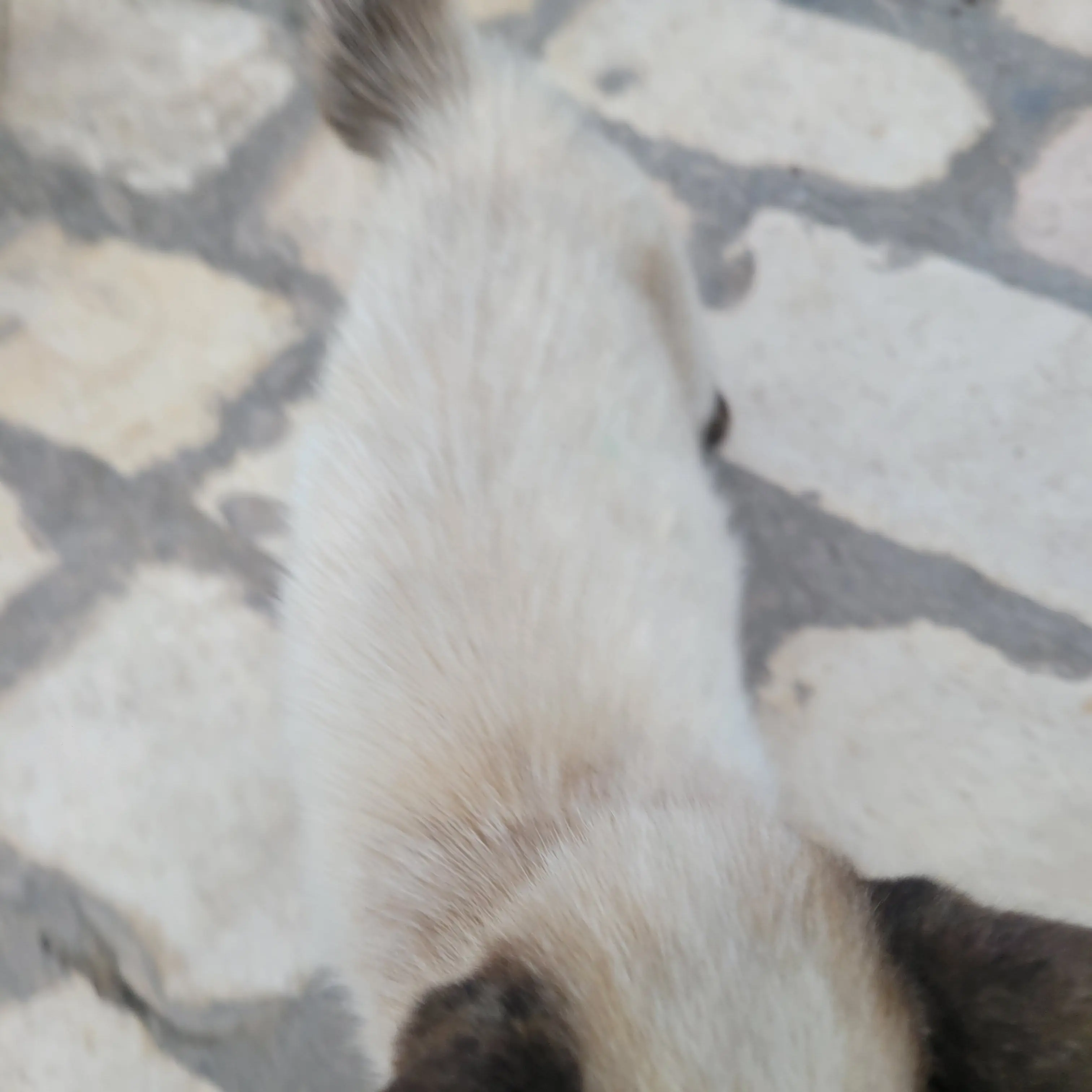 CustomBarb4350의 환장RPG인데 유튜버,님들?!