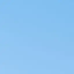 Profile image of 대화X