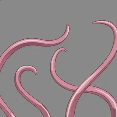 Profile image of 触手