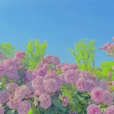 Profile image of 휴옌