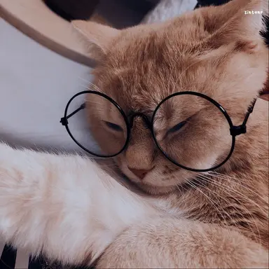 Profile image of 禪院 直哉