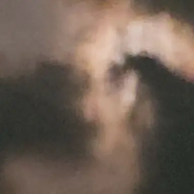 Profile image of 고양이