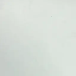 dori_dori05의 도리(제작자)