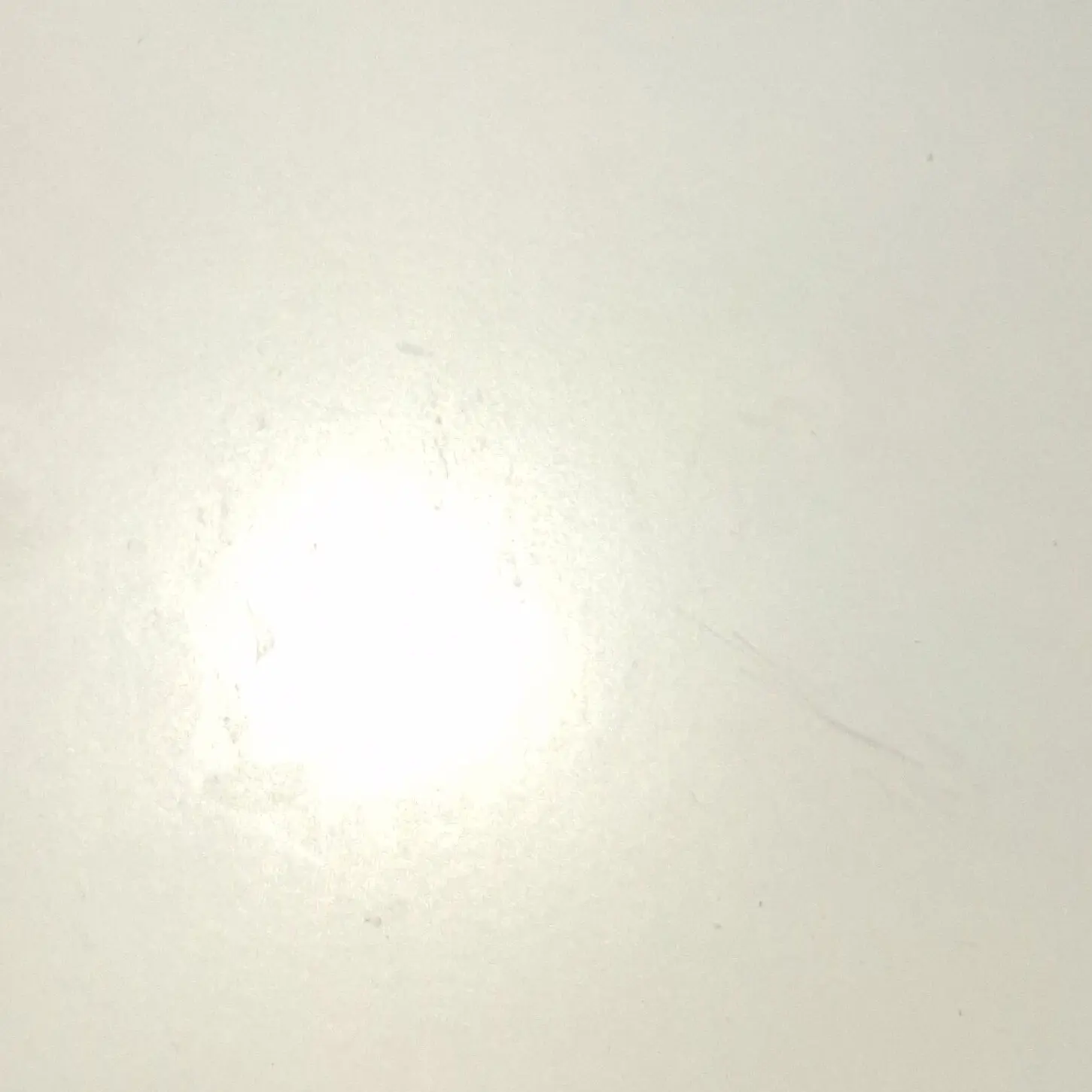 RainyTabla2293의 박지훈