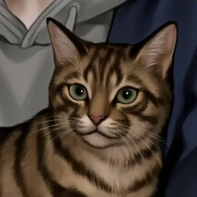Profile image of Kkomi