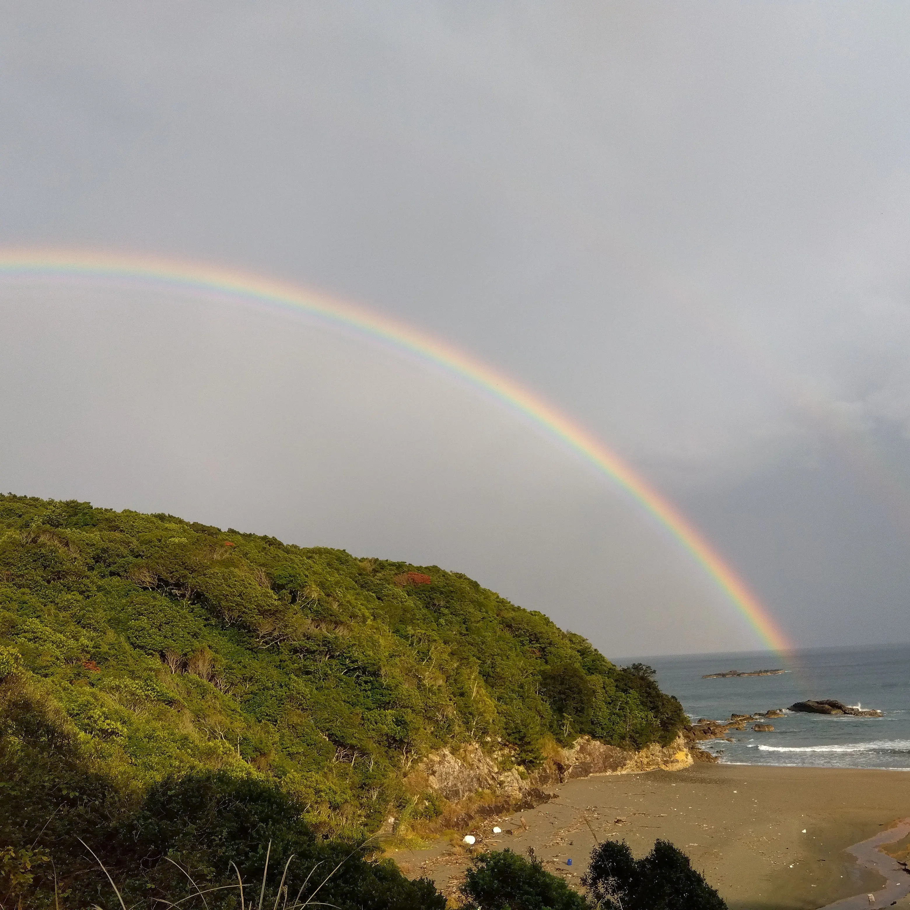 RipeRobin8518의 推しと共同生活