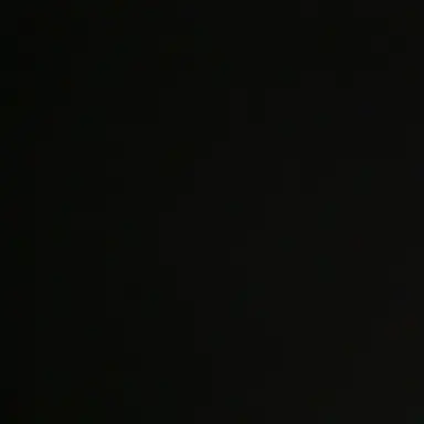 Profile image of 백지헌