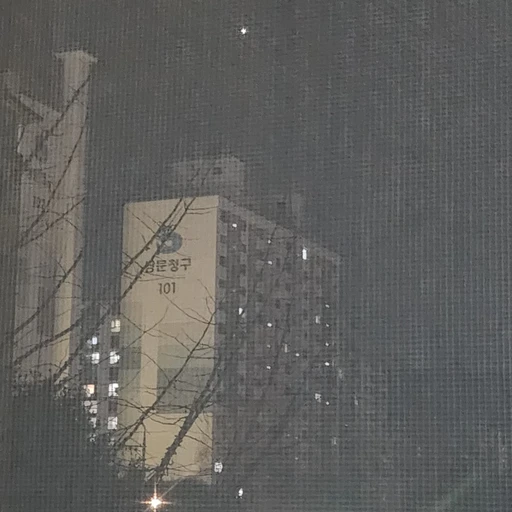 팝핑캔디맛 쿠키