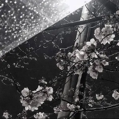 Profile image of 양정인