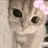 모카