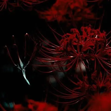 DVE__LUX.sHan의 HATRED