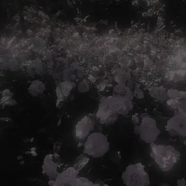 Profile image of 장원영