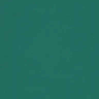 Profile image of イルミ