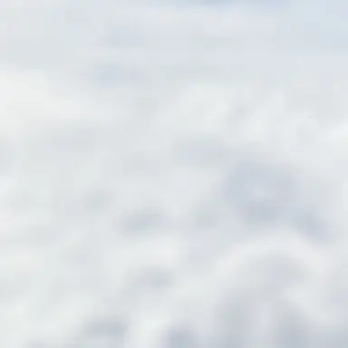 Profile image of はると