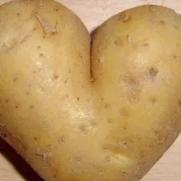 Profile image of 사샤 브라우스