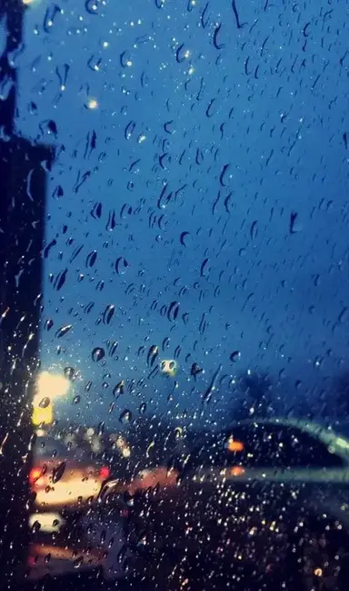 Profile image of Foster family Sbi