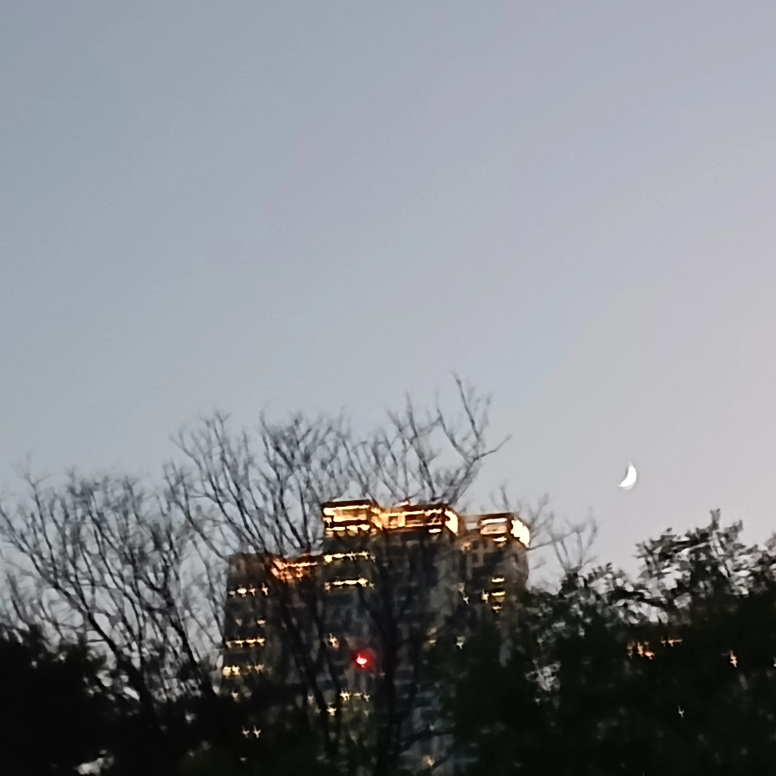 남사친들