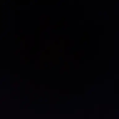 Profile image of 온미래