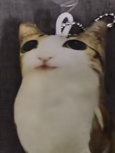 ` 대표 이미지