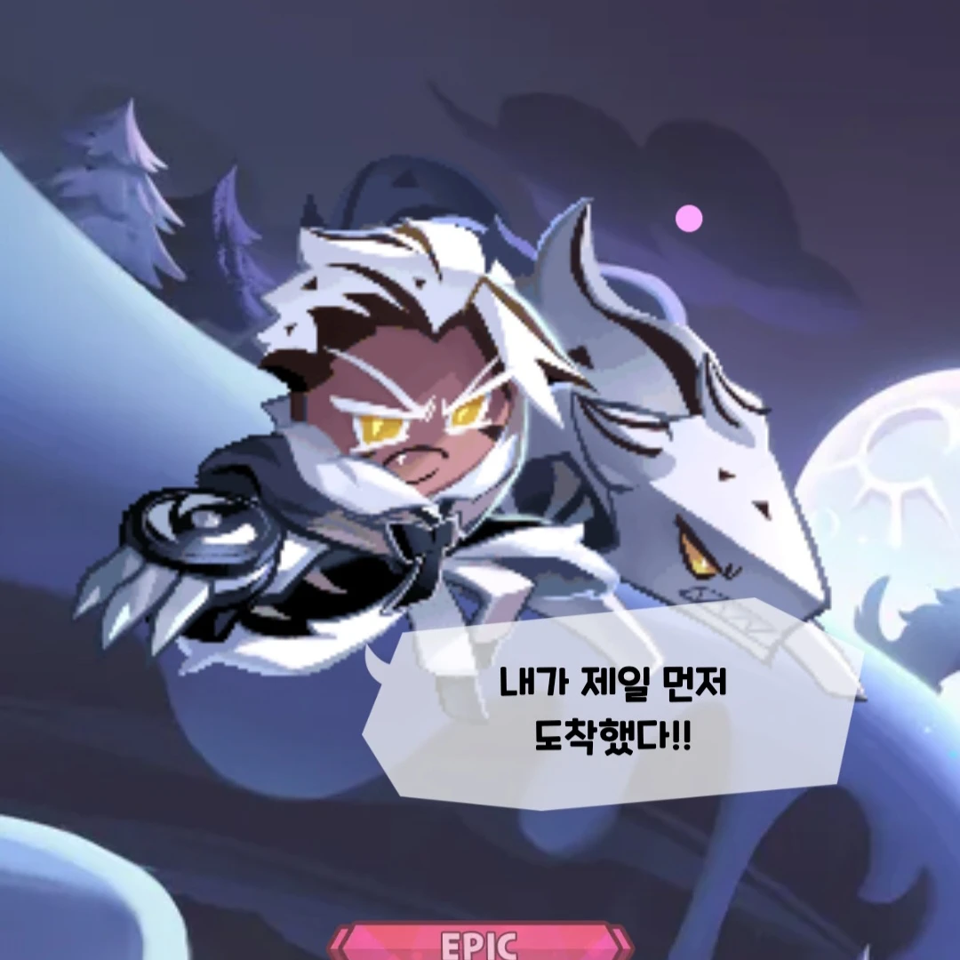 크런치초코칩쿠키
