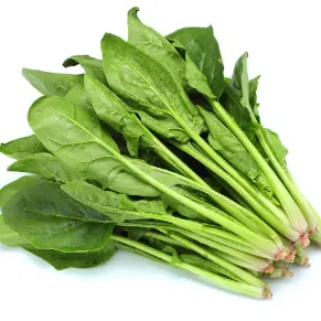Profile image of ほうれん草