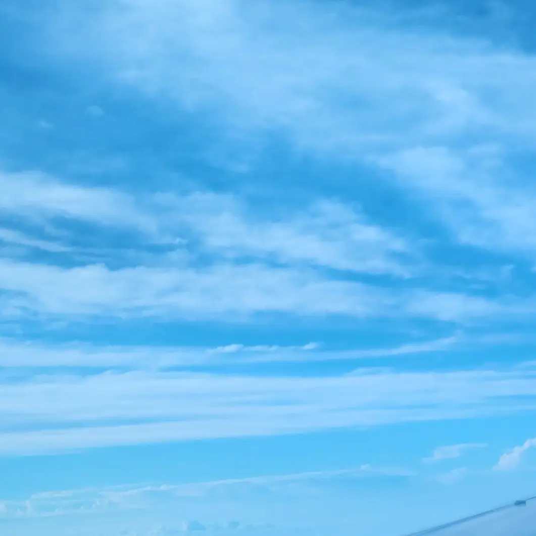 ChunkyUnau6680의 잭