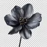 Profile image of ㅇㅇ