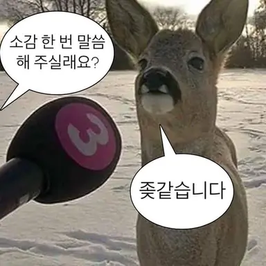 Profile image of 사일런트 솔트
