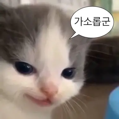 Profile image of 골드치즈