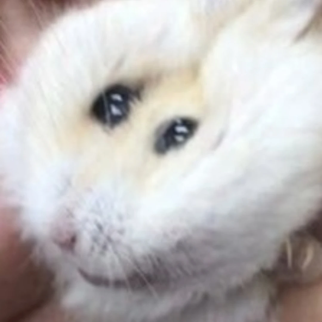 면뱩