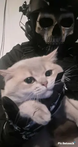 Profile image of Ghost